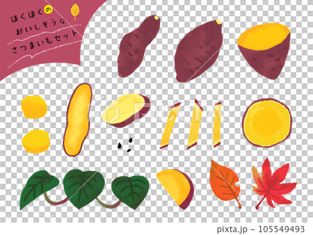 Flavorful sweet potato set 105549493