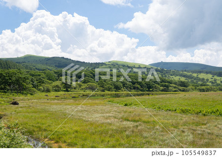 広い八島ヶ原湿原と夏の空【霧ヶ峰高原】長野県下諏訪町・7月 105549837