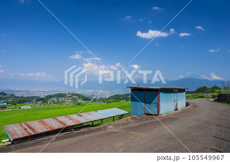 夏の田舎風景 中野の棚田 南アルプス市の街並み 夏の田舎風景 中野の棚田 南アルプス市の街並み 105549967