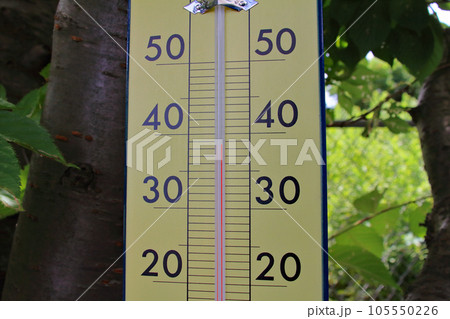 8月、日中に桜の木の枝につるしたアルコール温度計 8月、日中に桜の木の枝につるしたアルコール温度計 105550226