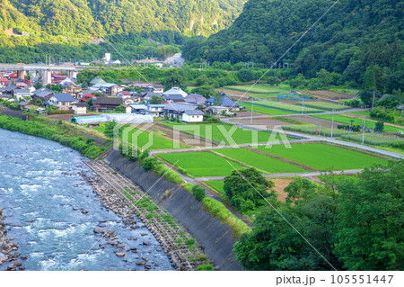 利根川　田園風景　赤城町棚下付近　　早朝の風景　　 105551447