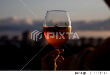 Woman hand hold wine glass Woman hand hold wine glass 105551646