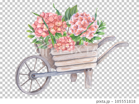 Wooden garden wheelbarrow with gorgeous blooming hydrangeas and green plants. Hortensia branches. Watercolor illustration isolated on white background. For the design of booklets, flyers Wooden garden wheelbarrow with gorgeous blooming hydrangeas and green plants. Hortensia branches. Watercolor illustration isolated on white background. For the design of booklets, flyers 105551818