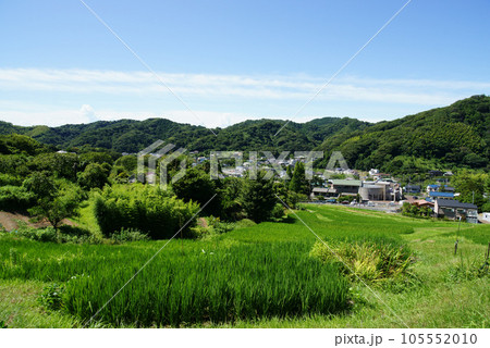 棚田風景(葉山の棚田) 棚田風景(葉山の棚田) 105552010