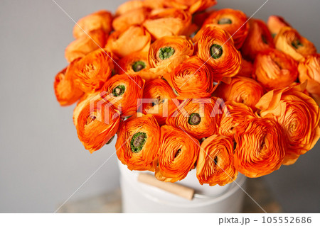 Persian buttercup. Bunch of orange ranunculus flowers on light gray background. Vase on vintage wooden table. Spring background, flower Wallpaper. 105552686