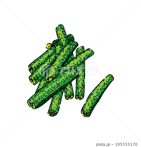 vegetarian geen beans sketch hand drawn vector vegetarian geen beans sketch hand drawn vector 105553170