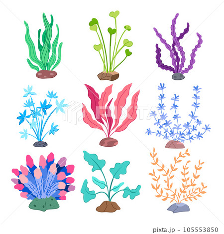 aquarium plant set cartoon vector illustration aquarium plant set cartoon vector illustration 105553850