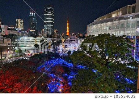 年末（12月）の六本木ヒルズ毛利庭園のイルミネーションと東京タワーライトアップ 105554035