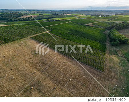 Aerial view Bordeaux Vineyard and forage fields with bales of hay in summer at sunrise 105554400