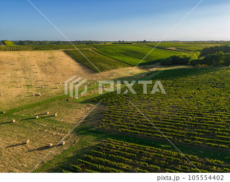 Aerial view Bordeaux Vineyard and forage fields with bales of hay in summer at sunrise 105554402