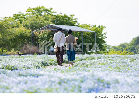 ネモフィラの花畑とカップル 105555675