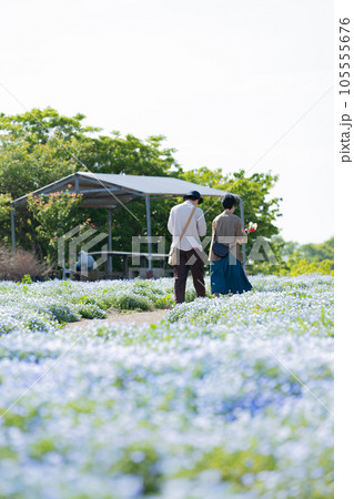 ネモフィラの花畑とカップル ネモフィラの花畑とカップル 105555676