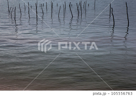 Sea background and wooden stakes 105556763