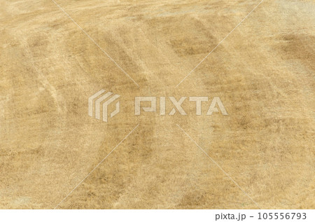 Texture from a field of golden grass mowed and the arc-shaped dark and light stripes 105556793