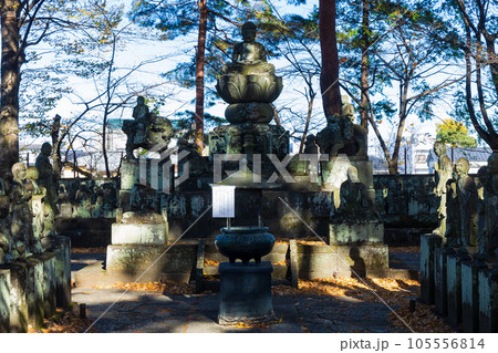 秋の小江戸川越　紅葉の喜多院　五百羅漢 105556814