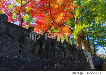 秋の小江戸川越　紅葉の喜多院　五百羅漢 105556819