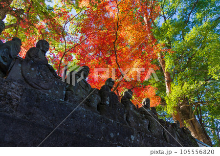 秋の小江戸川越　紅葉の喜多院　五百羅漢 105556820