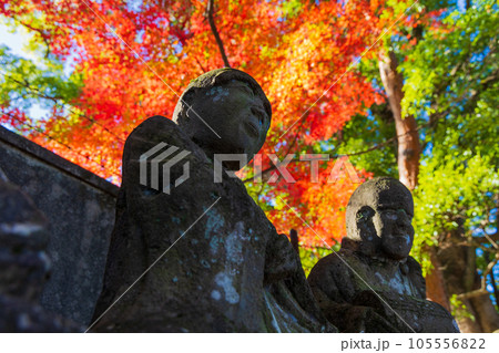 秋の小江戸川越　紅葉の喜多院　五百羅漢 105556822