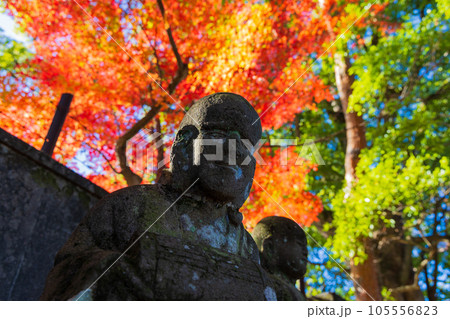 秋の小江戸川越　紅葉の喜多院　五百羅漢 105556823