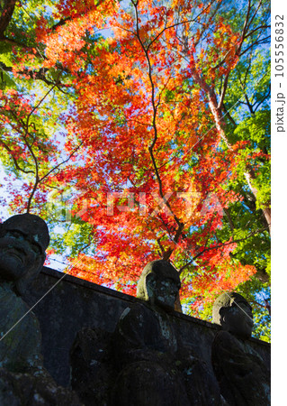 秋の小江戸川越　紅葉の喜多院　五百羅漢 105556832