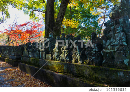 秋の小江戸川越 紅葉の喜多院 五百羅漢 秋の小江戸川越 紅葉の喜多院 五百羅漢 105556835