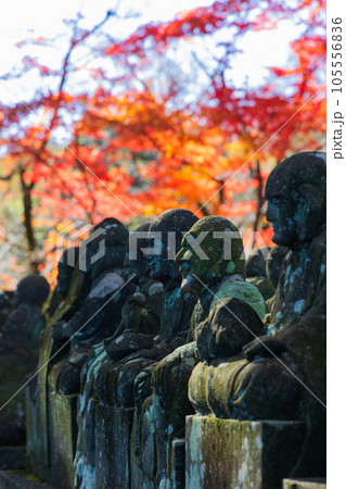 秋の小江戸川越 紅葉の喜多院 五百羅漢 秋の小江戸川越 紅葉の喜多院 五百羅漢 105556836