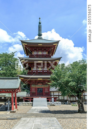 板橋不動尊と知られる清安山願成寺不動院三重塔 板橋不動尊と知られる清安山願成寺不動院三重塔 105556875