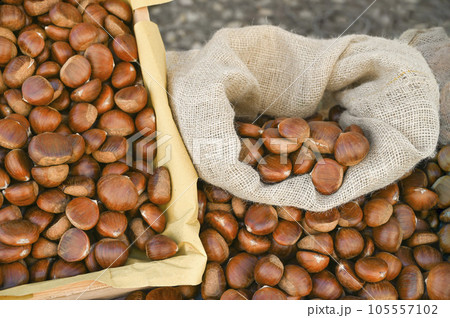 Large fruits of not yet roasted chestnuts lie beautifully on the counter 105557102