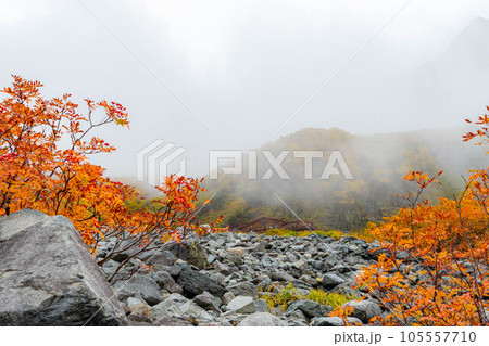 【錦秋】霧に包まれた紅葉時期の涸沢カール【長野県】 105557710