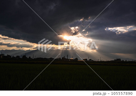 夏の夕方の神秘的な光芒と田園風景 夏の夕方の神秘的な光芒と田園風景 105557890