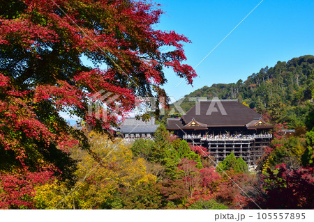 秋　清水寺　 105557895