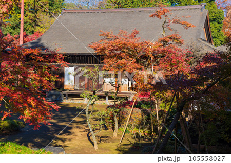 秋の小江戸川越　紅葉の喜多院　紅葉山庭園と客殿 105558027