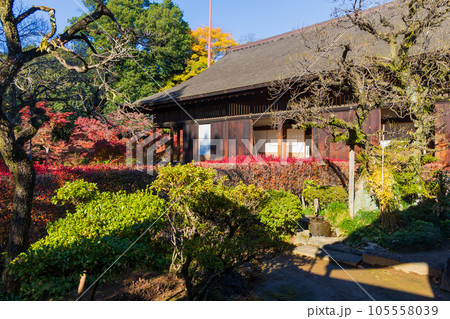 秋の小江戸川越　紅葉の喜多院　紅葉山庭園と客殿 105558039