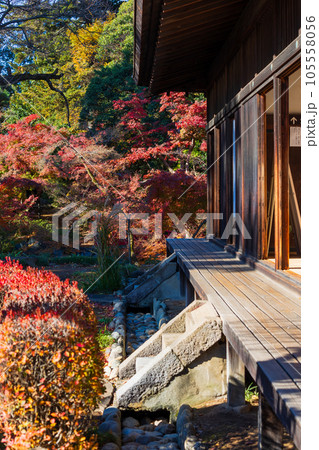 秋の小江戸川越 紅葉の喜多院 紅葉山庭園と客殿 秋の小江戸川越 紅葉の喜多院 紅葉山庭園と客殿 105558056