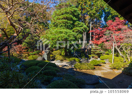 秋の小江戸川越　紅葉の喜多院　曲水の庭（轉合の庭） 105558069