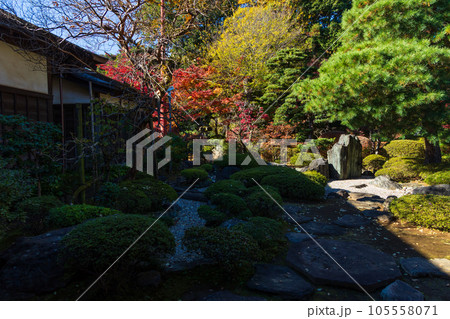秋の小江戸川越 紅葉の喜多院 曲水の庭(轉合の庭) 秋の小江戸川越 紅葉の喜多院 曲水の庭(轉合の庭) 105558071