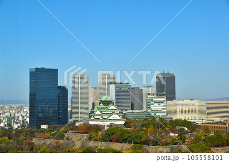秋　大阪城公園 105558101