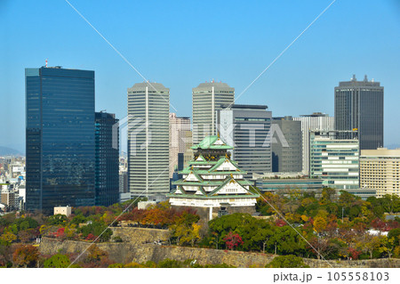 秋　大阪城公園 105558103