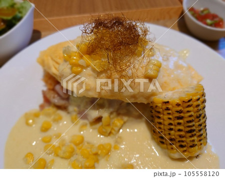 卵焼きを乗せた卵の殻をたっぷり乗った熱々ご飯 卵焼きを乗せた卵の殻をたっぷり乗った熱々ご飯 105558120