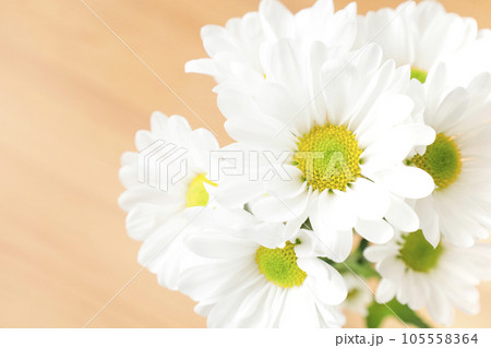 白菊の木目背景　グリーティングカードや年賀状のイメージ 105558364