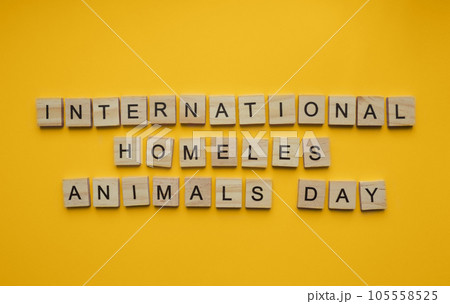 August 19, International Homeless Animals Day, minimalistic banner with the inscription in wooden letters August 19, International Homeless Animals Day, minimalistic banner with the inscription in wooden letters 105558525