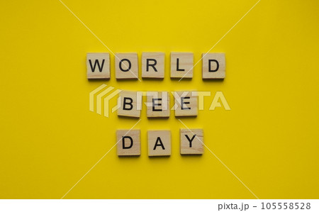 August 19, National Honey Bee Day, World Bee Day, minimalistic banner with the inscription in wooden letters on an orange background 105558528