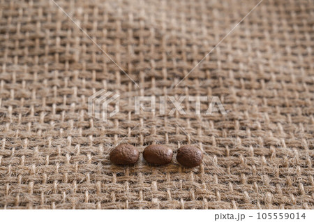 麻布と並んだコーヒー豆 105559014