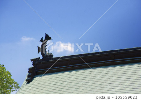 神社の鳥居の上にあるシャチホコ 左 神社の鳥居の上にあるシャチホコ 左 105559023