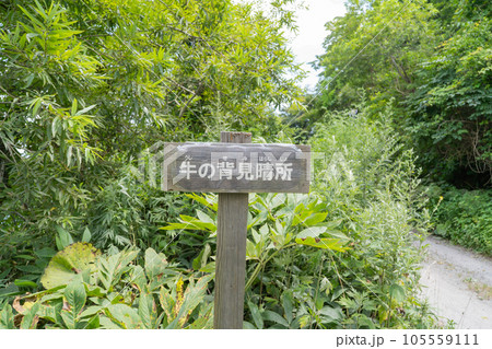 牛の背見晴所（函館山） 105559111