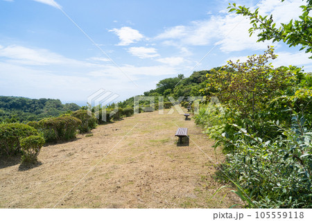 つつじ山広場（函館山） 105559118