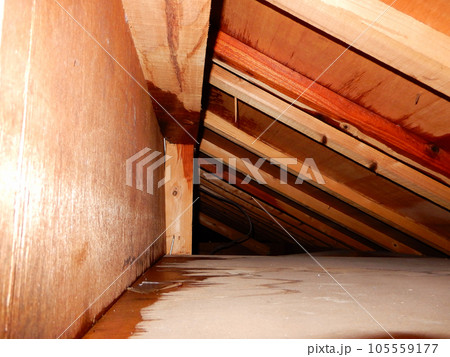台風の雨で雨漏りしてきたときの屋根裏 台風の雨で雨漏りしてきたときの屋根裏 105559177