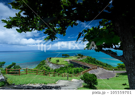 海の見える丘 105559701