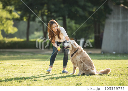 a beautiful woman playing ball with her dog in the park a beautiful woman playing ball with her dog in the park 105559773