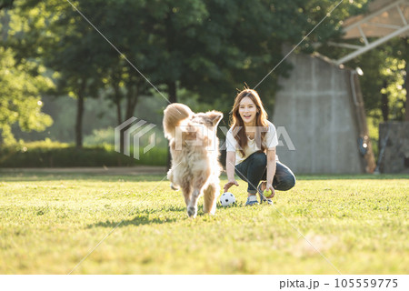 a beautiful woman playing ball with her dog in the park a beautiful woman playing ball with her dog in the park 105559775